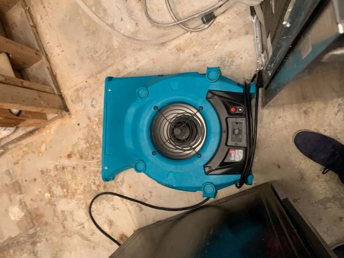 Air mover drying equipment for Mold Remediation & Removal in Trumbull